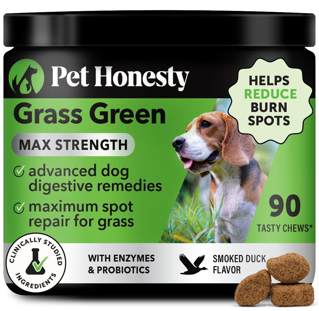 Grass Green Max Strength Chews für Hunde – Premium Dog Urine Rasen Spot Saver Supplement – Unterstützt gesunde Verdauung, Gut & Urinary Health mit Probiotics, DL-Methionine & Yucca (90ct Duck Flavor)