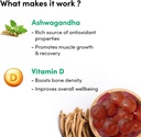Ashwagandha Vitamin D Gummies | Helps Improve Strength, Energy & Immunity | Vegan & Gluten-Free | 60 Gummies
