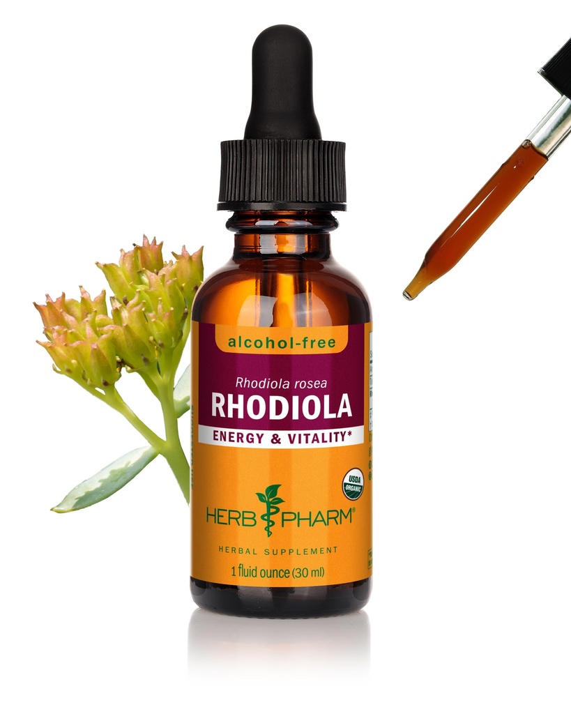 Extrait de racine de Rhodiola biologique certifié Herb Pharm pour l'énergie, l'endurance et l'endurance, glycérite sans alcool, 1 once