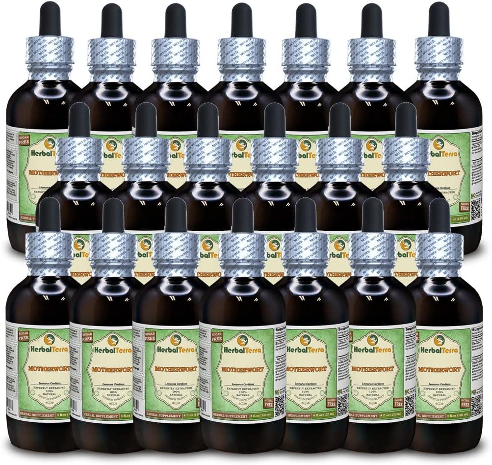 Mutterkraut (Leonurus Cardiaca) Glycerit, Organic Dried Herb Alcohol-Free Liquid Extract (Markenname: HerbalTerra, Proudly Made in USA) 20x4 fl.oz (20x120 ml)