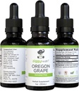 Teinture de racine de raisin bio de l'Oregon - Extrait sans alcool, soutien aux plantes de 1 oz