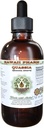 Quassia Alcohol-Free Liquid Extract, Quassia (Quassia Amara) Getrocknete Bark Glycerite natürliche Kräuterergänzung, Hawaii Pharm, USA 2 fl.oz