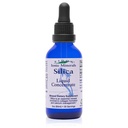 Eidon Liquid Silica Mineral Konzentrat - Silica Beilage für Haare, Haut und Nägel, Tropfen zur Unterstützung Collagen Produktion, hilft, Kalzium zu verwalten, nicht hinzugefügt Zucker - 2 oz