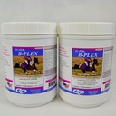 SU-PER B-Plex Pulver Equine Vitamine - Komplette B-Komplexe Pferde Vitamine und Mineralstoffe Ergänzung - Gesunde Hooves, rote Blutzellen, Pferdeberechnung Pulver - 2,5 Pfund, (2 Packung)