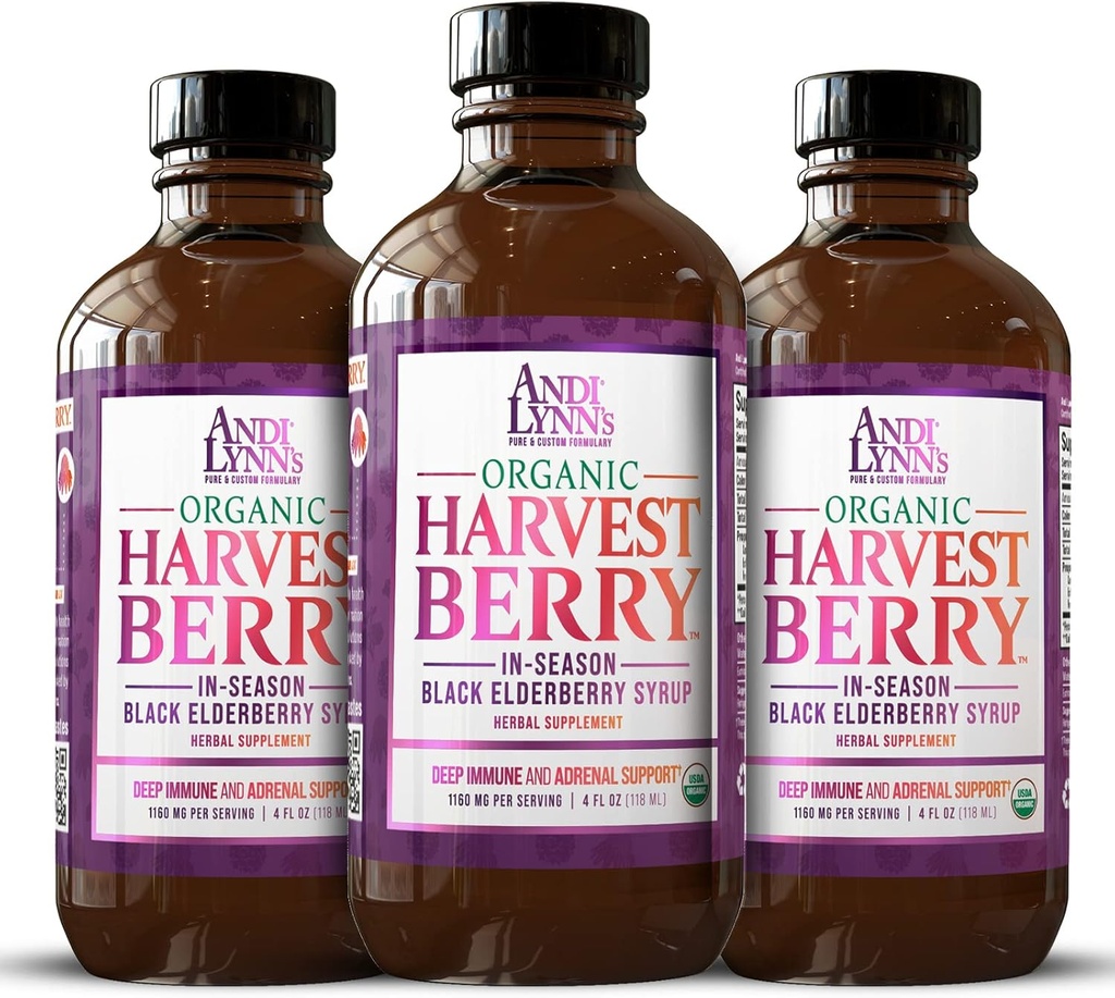 Andi Lynn's Organic Harvest Berry Syrup für Kinder und Erwachsene – Real Honey Elderberry Syrup für Immununterstützung - Therapeutische Formel - 4 Fl. Oz (Pack von 3)