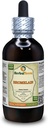 Bromelain (Ananas Comosus) Tincture, Dried Powder Liquid Extract (Markenname: HerbalTerra, Proudly Made in USA) 4 fl.oz (120 ml)