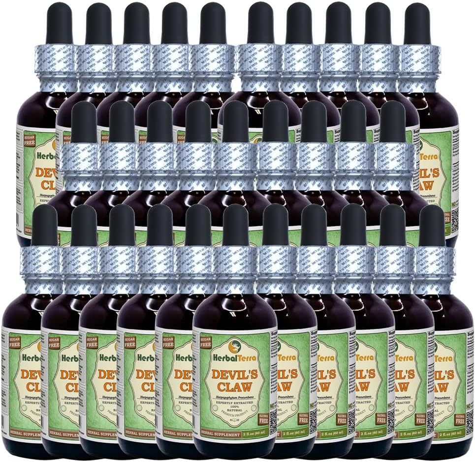 Devil's Claw (Harpagophytum Procumbens) Glycerite, Organic Dried Root Alcohol-Free Liquid Extract (Markenname: HerbalTerra, Proudly Made in USA) 30x2 fl.oz (30x60 ml)