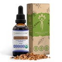 Echinacea Root USDA Organic Tincture | Alkoholfreier Extrakt, hochkarätige Kräutertropfen, Immunsystem-Gesundheit | Hergestellt aus 100% Certified Organic Echinacea Root (Echinacea Purpurea) 2 oz