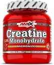 Amix Creatin Monohydrat - Pulver 300 Gramm