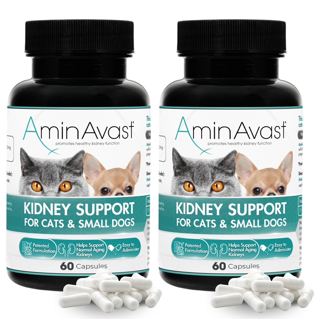AminAvast Supplément de soutien au rein pour les chats et les petits chiens, 300mg 2-Pack - Promotion de la fonction rénale naturelle - Aides à la santé et à la vitalité des reins vieillissants - Facilement administré - 60 capsules d'arrosage