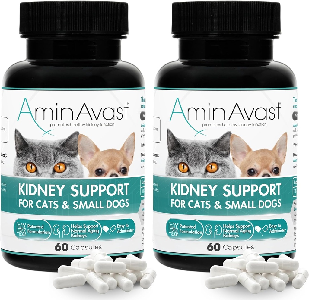 AminAvast Supplément de soutien au rein pour les chats et les petits chiens, 300mg 2-Pack - Promotion de la fonction rénale naturelle - Aides à la santé et à la vitalité des reins vieillissants - Facilement administré - 60 capsules d'arrosage