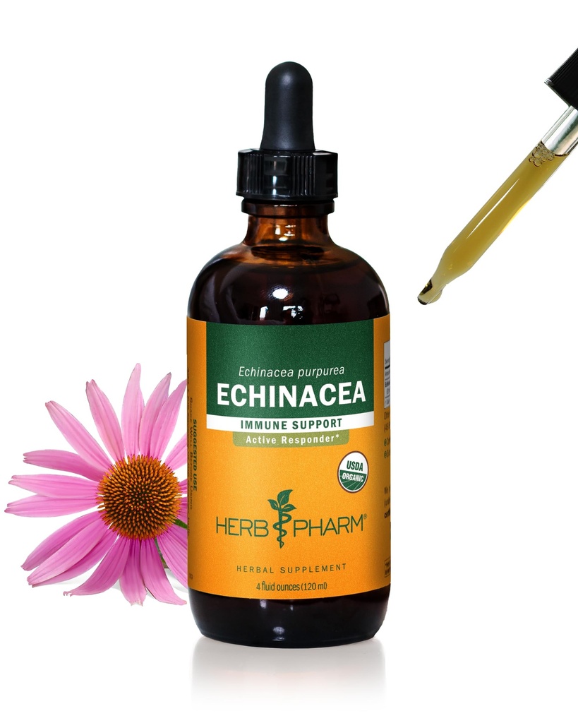 Herb Pharm Certified Organic Echinacea Wurzelflüssigkeit Extrakt für Immunsystem Unterstützung, Organische Cane Alkohol, 4 Unze