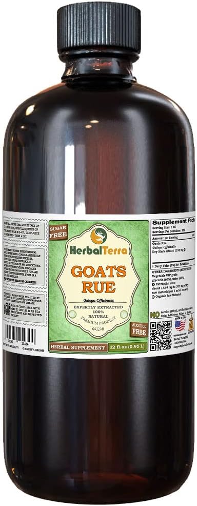 Goat's Rue (Galega officinalis) Glycerite, Organic Dried Herb Alcohol-Free Liquid Extract (Markenname: HerbalTerra, Proudly Made in USA) 32 fl.oz (0.95 l)