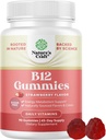 Vitamine B12 Gummies pour les adultes - Sans sucre Vitamine B12 1000 mcg Gums à croquer pour l'énergie et l'humeur Soutien Immune et nerfs Santé - Kosher Non-OGM et supplément sans gluten pour les femmes et les hommes - 90 Compte