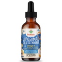 2000MG Liposomal Glutathione Flüssigkeit, 98% Absorption, Aktive Form L-Glutathione Ergänzung, Vegan freundlich, Leistungsstarke Antioxidante Komplex für Immunsystem, Aging Defense, Detox, 2 FL.OZ