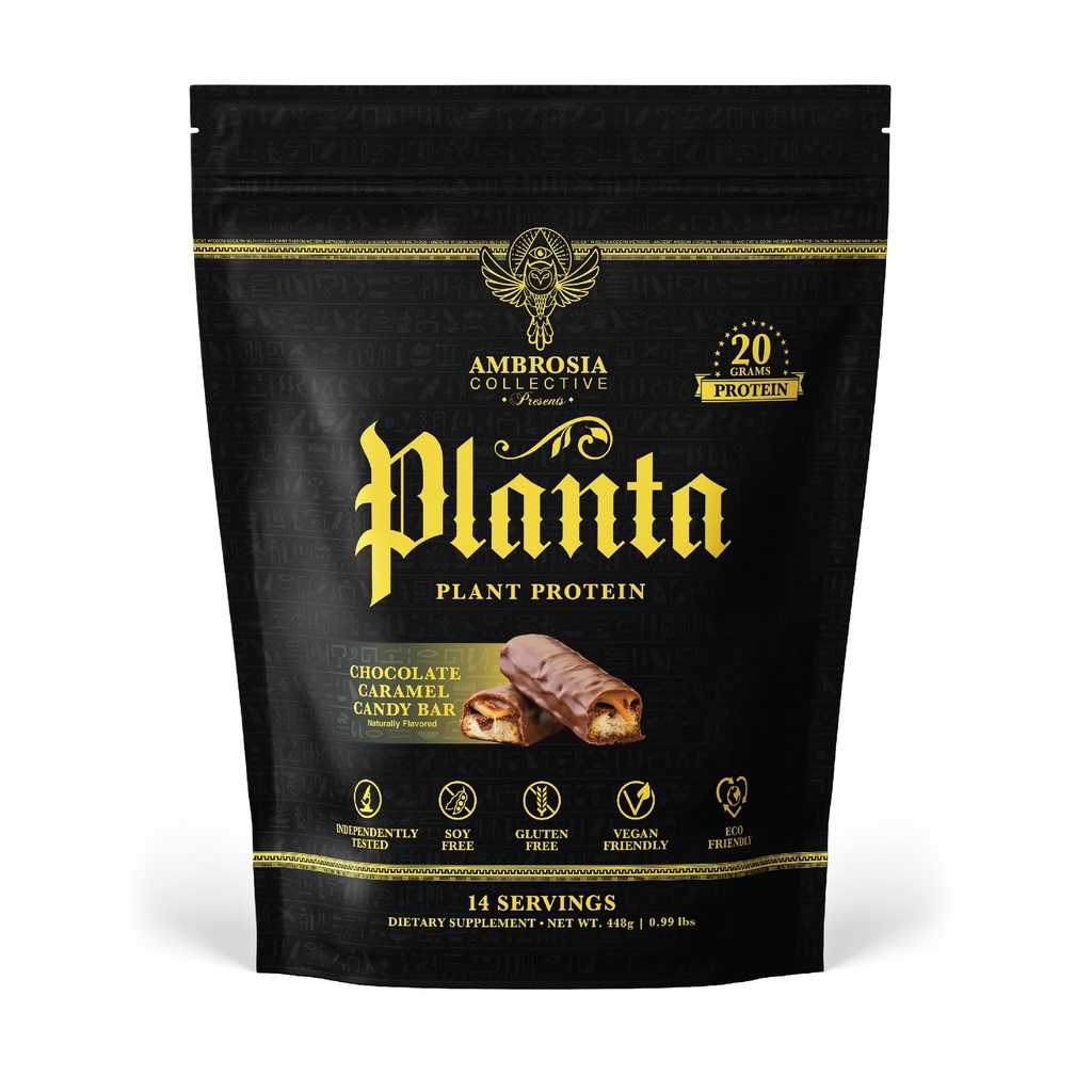 Ambrosia Planta - Premium Pflanzenbasiertes Protein | Vegan & Keto Friendly | Gourmet Flavors mit No Bloating or Stomach Upset | Gluten & Soy Free | Kein hinzugefügter Zucker | 14 Servierungen | (Candy Bar)