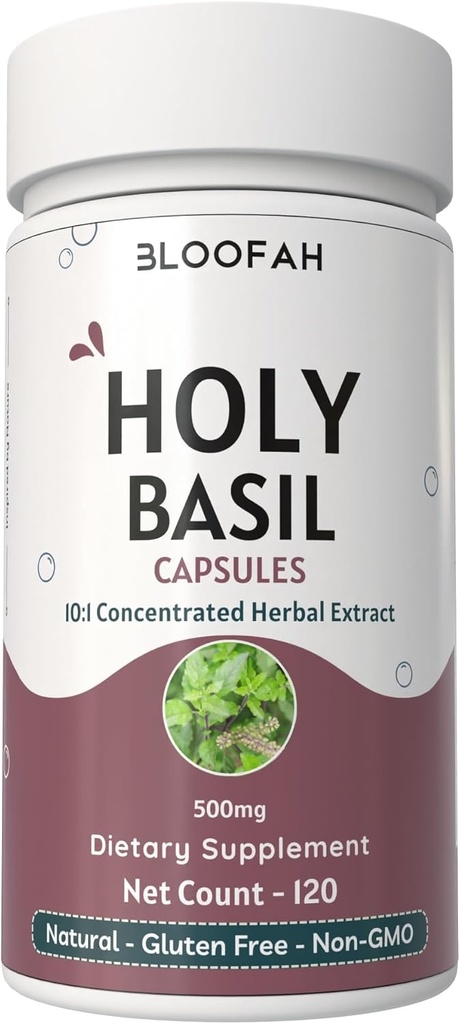 Heilige Basil Blatt Kapseln 500mg | Konzentriert 10:1 Extrakt Ocimum tenuiflorum Kräuterergänzung | Non-GMO, Gluten-Free | Einfach zu schlucken (120 Count (Pack von 1))