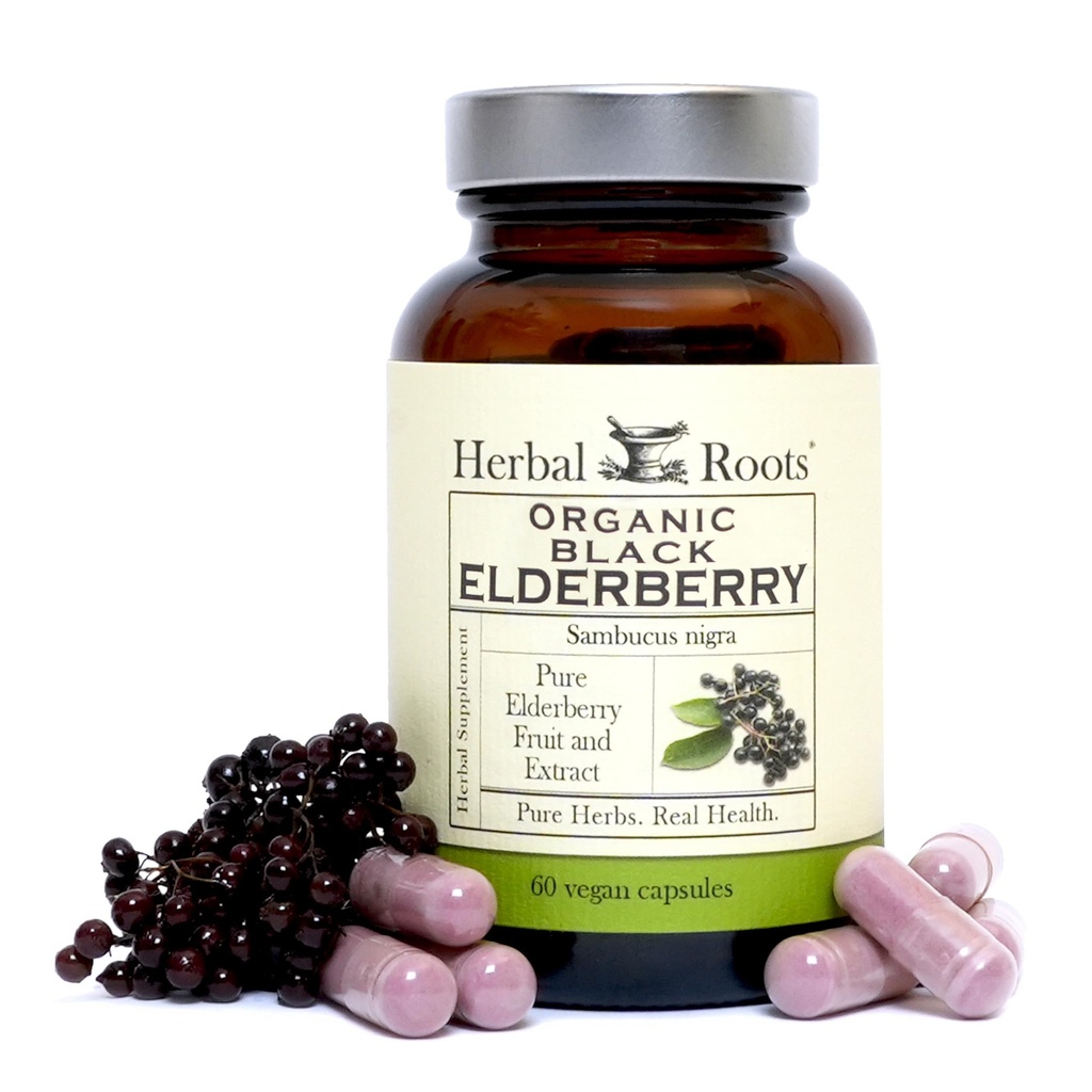 Herbal Roots Organic Black Elderberry Kapseln | Max Strength | Made with Organic Sambucus | 60 Vegan Kapseln
