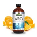 Nature's Answer Liquid Omega-3 | Deep Sea Fish Oil mit EPA/DHA Nahrungsergänzung | Cardiovascular Support | Keine Konservierungsstoffe & Gluten-Free 16oz (Pack von 1)