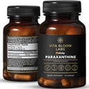 Enfinity Paraxanthine Kapseln, Clean Energy & Focus, Caffeine Alternative | 200 mg pro Kapsel | 30 Kapseln pro Flasche | Formuliert in USA, GMP zertifiziert, Non-GMO, Kosher