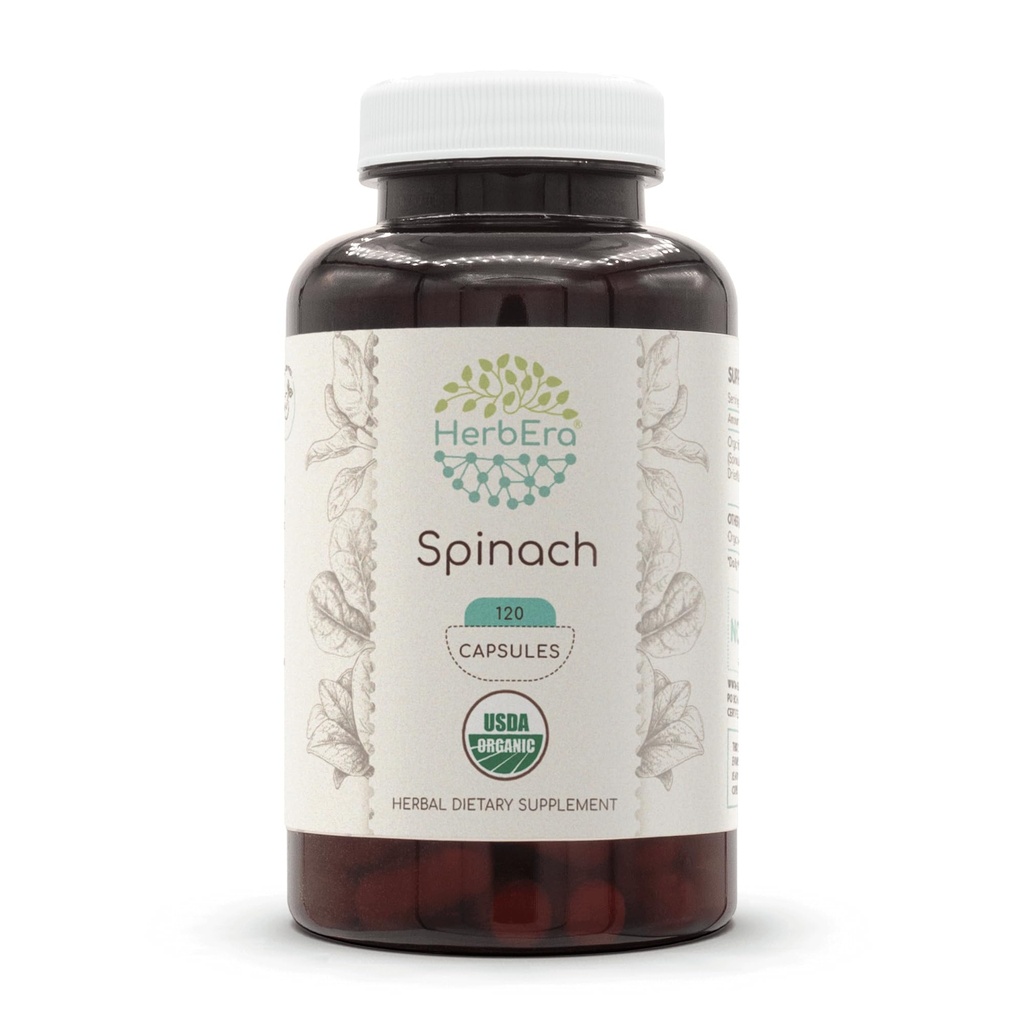 HerbEra Spinach 120 Kapseln, 500 mg, USDA Organic Spinach (Spinacia oleracea) Getrocknete Blatt (120 Kapseln)