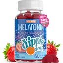 Melatonine Soutien au sommeil Gummies (60 comte) Coucher de soleil de fraise Creme Flavor Chews (2,5mg par supplément de sommeil gommy pour les enfants et les adultes) Supplément pour un sommeil plus rapide et plus long