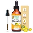 Botanische Wahl Mullein Blatt Flüssiger Extrakt, Alkoholfrei, Glutenfrei, Traditionelle Respiratorische Unterstützung 1 Fl. Oz.