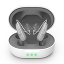 Wahre Hörgeräte (nicht Verstärker) 11 Channals Professional wiederaufladbare wasserdichte Hörgeräte für Senioren mit Lärm abbrechen Hörgerät mit Magnet Charging Box (grau)