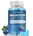 Magnesium Gummies 600mg per Serving-Magnesium Glycinate 400mg and Magnesium Malate 200mg,Sugar Free Magnesium Potassium Supplement for Calm Mood, Muscle, Bone & Sleep Support,60 Blueberry Gummies