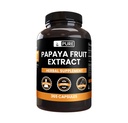 PURE ORIGINAL INGREDIENTS Papaya Extrakt (365 Kapseln) Kein Magnesium oder Reisfüller, Immer rein, Lab Verifiziert