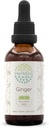HerbEra Ginger B60 Teinture d'extrait de plantes sans alcool, Ginger super concentré (Zingiber officinale) 2 fl oz