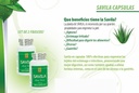 Nutrisalud Products Capsulas de Savila, Aloe Vera Capsules 500mg. Set de 2 frascos 100 capsulas CADA uno.Efectivo Contra ulceras,agruras,mala Digestion,Colitis,estreñimiento. Dura mas de 3 Meses.