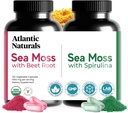 Atlantic Naturals Sea Moss Superfood Bundle - Sea Moss with Beet Root & Spirulina Capsules - Defense Support, Blood Flow, Joint Health & Iron - 240 Kapseln (2 x 120 ct)