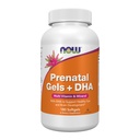JETZT Ergänzungen, Pränatal Gele + DHA mit 250 mg DHA pro Portion, plus Borage Oil (GLA), 180 Softgels