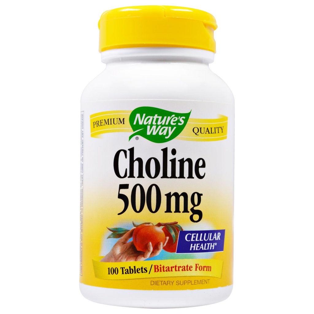 NATURE'S WAY Choline 500mg 100 comprimés