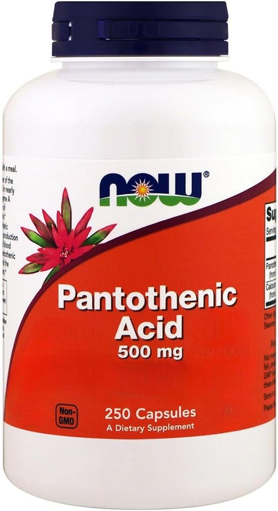 Jetzt Lebensmittel, Pantothensäure, 500 mg, 250 Kapseln