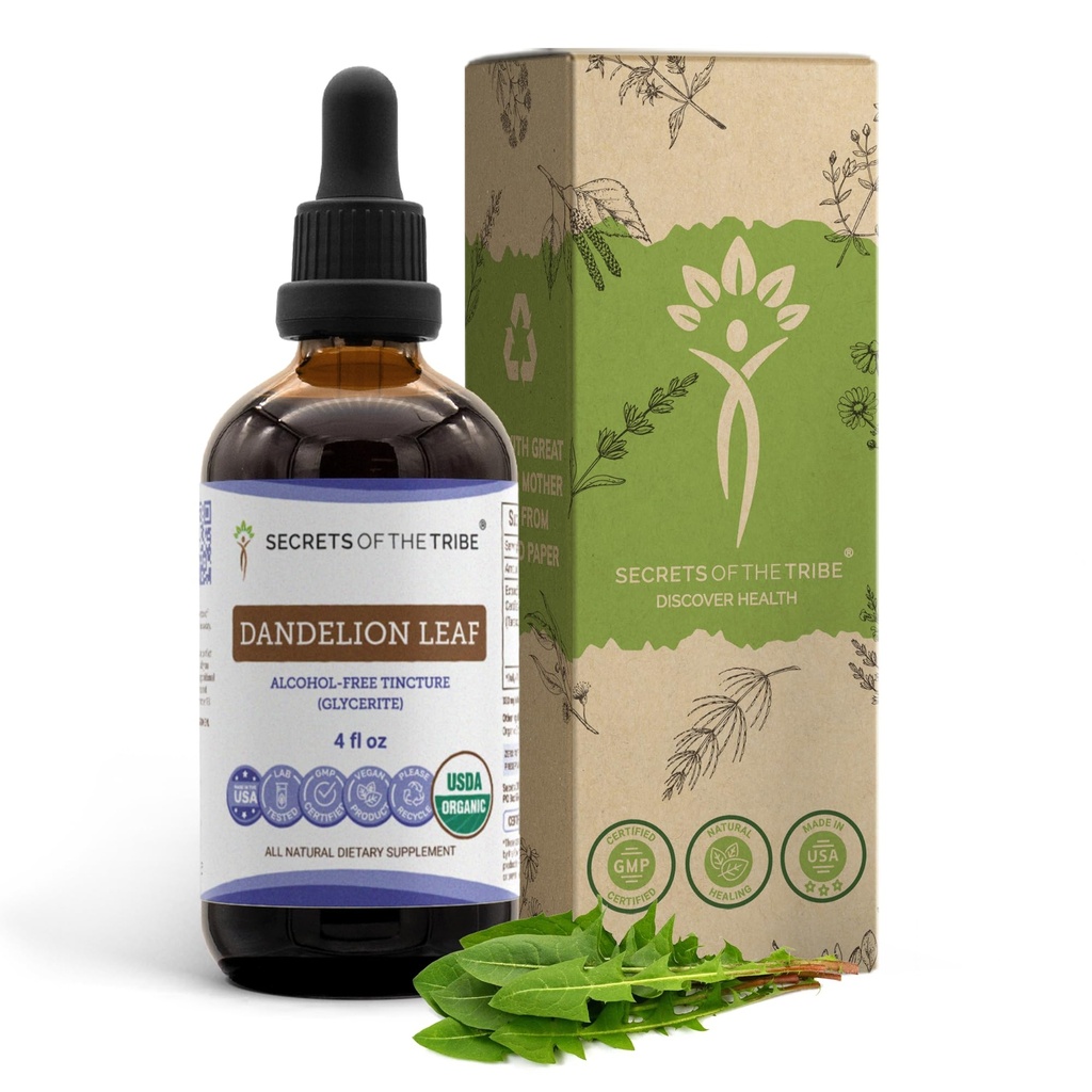 Secrets of the Tribe Dandelion Leaf USDA Organic Tincture Alcohol-Free Liquid Extract, Dandelion (Taraxacum Officinale) Getrocknete Blatt (4 FL OZ)
