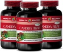 Immun Support Supplement - Candida Away Plus - Candida Digestive - Candida Cleanse Extra Strength - Digestive Pille - Candida Cleanse für Damen und Herren - Candida Overgrowth - 3 Flaschen 180 Kapseln