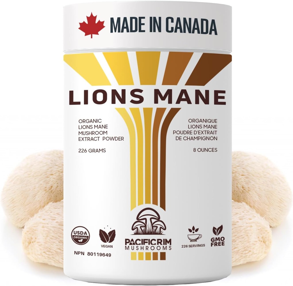 Supplément Lions Mane Poudre Ultra Strength 10:1 Lions organiques Mane Champignon soutenant la mémoire, la cognition, la santé cérébrale, 8 onces / 226 portions