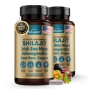 Shilajit Pure Himalayan Bio-Kapseln mit Irish Sea Moss, Ashwagandha, Kupfer, Beet Root - Fulvic Acid Trace Minerals Supplement für Männer und Frauen - 90 Count, Non-GMO, Gluten-Free