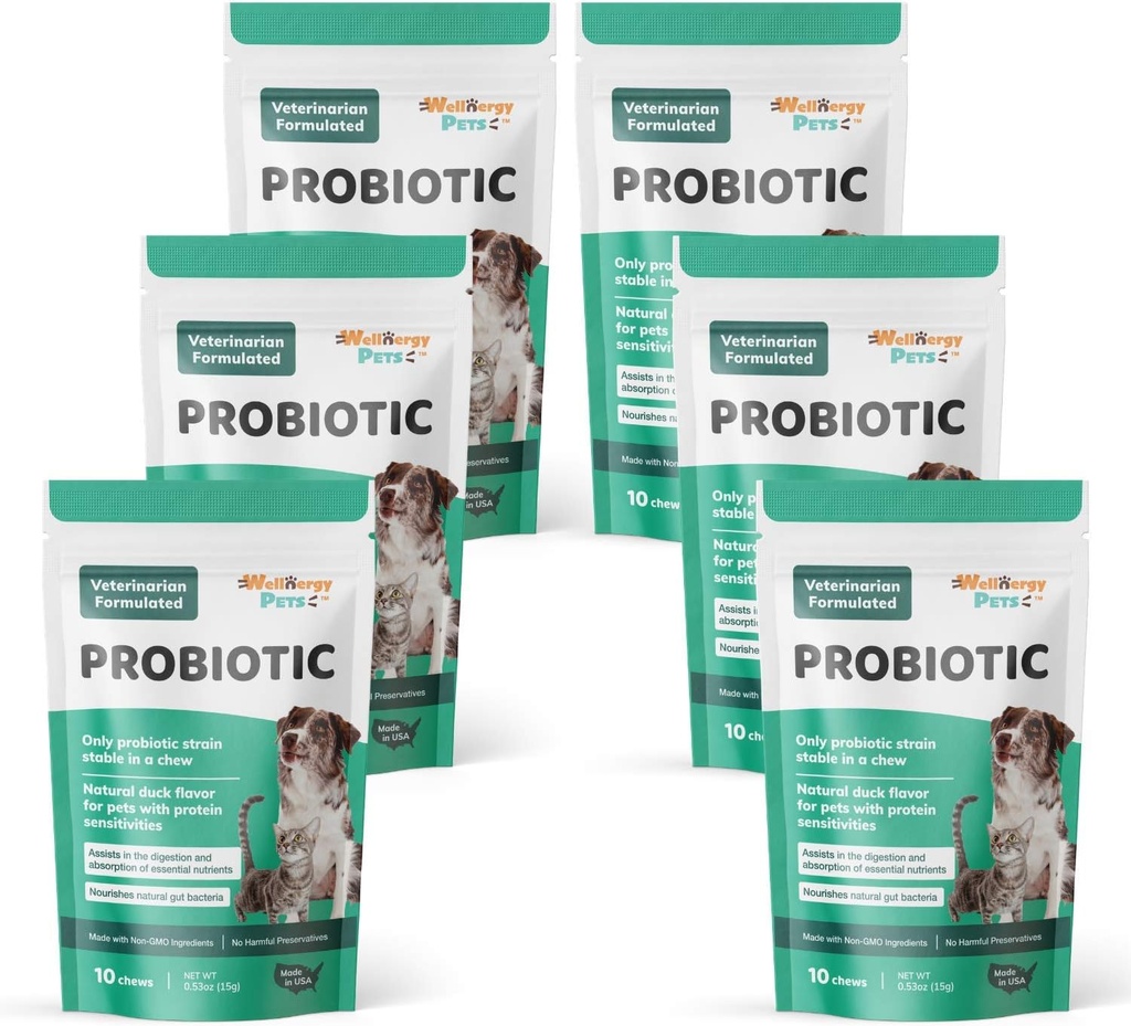 Wellnergy Daily Probiotics & Prebiotics Soft Chew for Dogs & Cats - Soutien digestif pour la diarrhée, la constipation, l'estomac, l'indigestion et le gaz - Aide la digestion, la peau allergique et la santé immunitaire 60ct