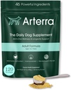 Adult Dog Powder Supplement & Food Topper – 46 Zutaten für Gut, Immun- und Gehirngesundheit – Daily Longevity Multivitamin für Ganzkörper Wellness | 120 Scoops