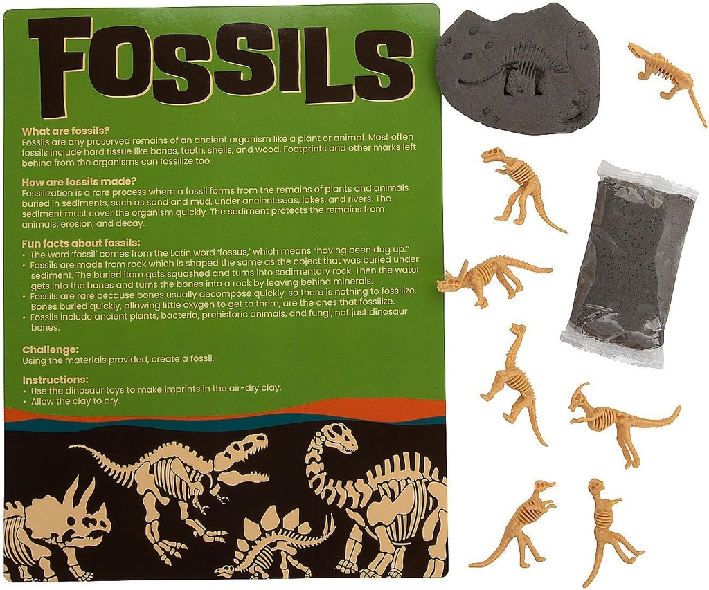 Fun Express Faites votre propre kit d'artisanat fossile - fait 12