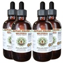 Selbsthealer Alkoholfreier Flüssigextrakt, Organische Selbstheilung (Prunella Vulgaris) Getrocknete Kräuter Glycerit Natürliche Kräuterergänzung, Hawaii Pharm, USA 4x4 fl.oz