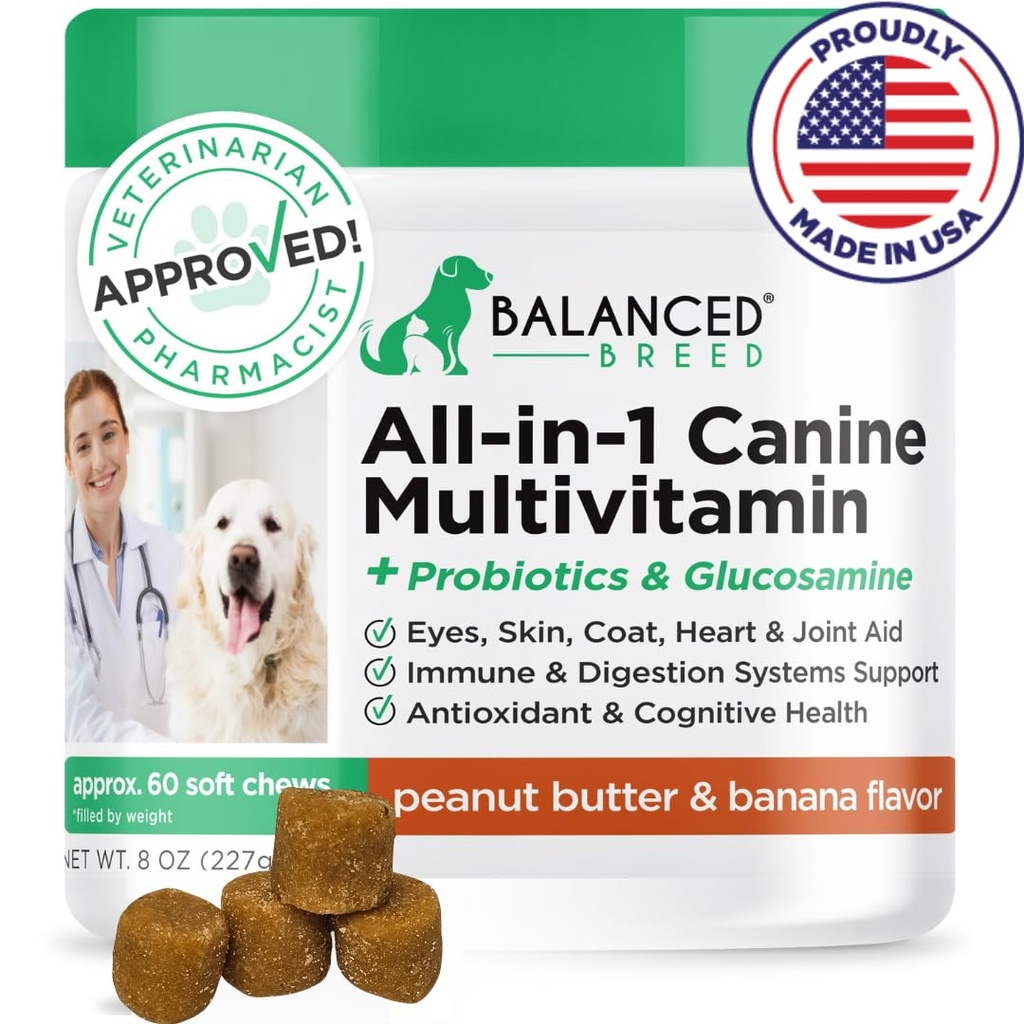 Suppléments de vitamines pour chiens fabriqués aux États-Unis de race équilibrée Multivitamines pour chiens Probiotiques Glucosamine Chondritin Chien Huile de saumon Coat Immune Supplément pour chiens seniors NonOGM