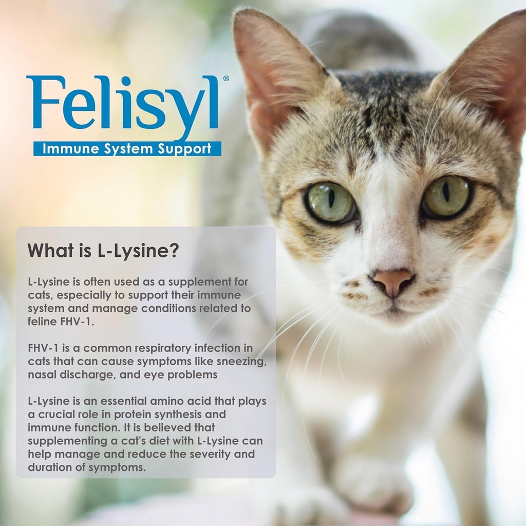 L-Lysine Gel für Katzen - Immunsystem-Unterstützung - Ergänzung Unterstützung für gesundes Gewebe, Respirator und Vision - Lachs-Flavored - Made in USA - 5 Unze