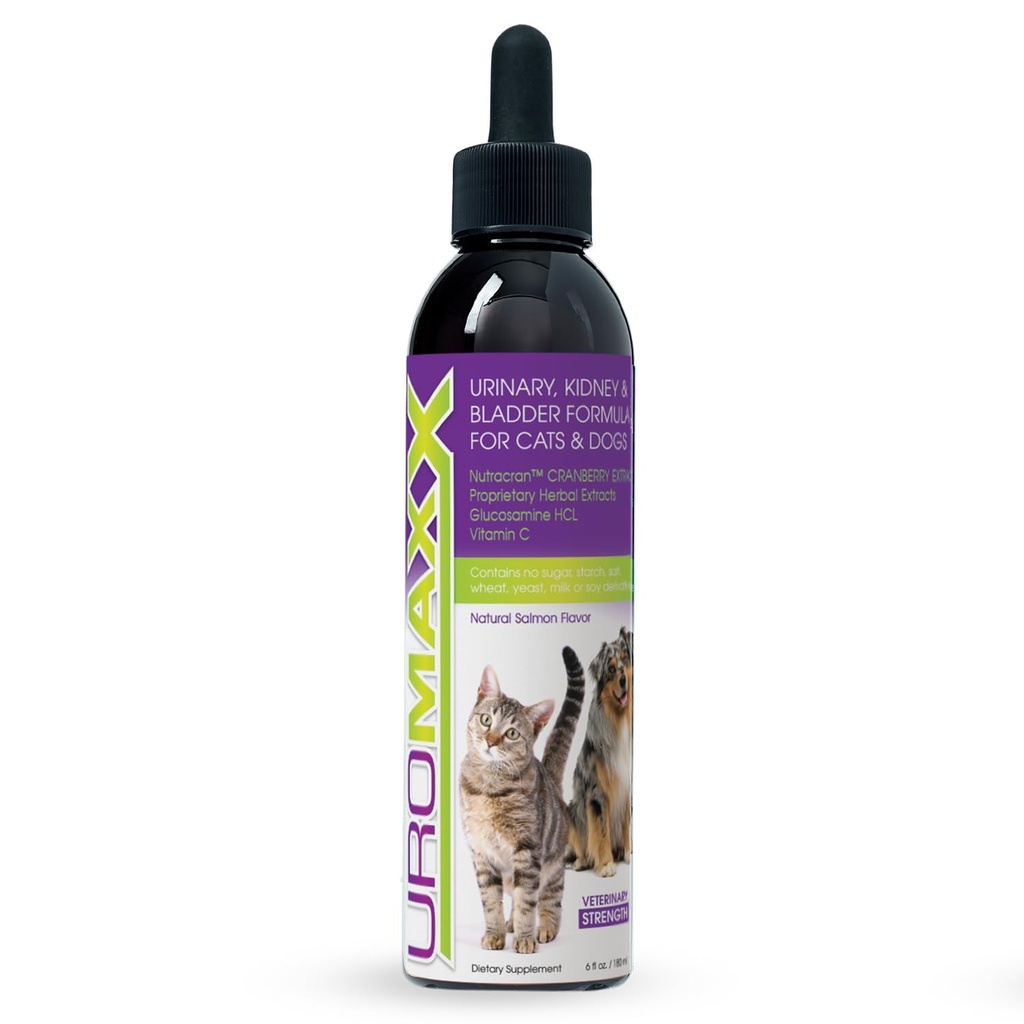 Cat & Dog Urinary Tract Treatment, Bladder & Kidney-Unterstützung für Hunde und Katzen, Leistungsstarke aber sanfte Tierpflege, mit flüssiger Cranberry & Glucosamin, Lachs Flavor, 6 oz Bottle, 1 Pack