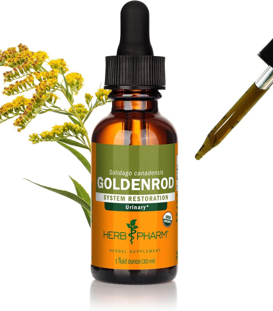 Kräuter Pharm Certified Organic Goldenrod Liquid Extract für Urinary System Support, 1 Fl Oz (Pack von 1)