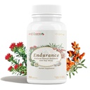 CheezhengHimalaya Rhodiola und Goji Berry Daily Supplement, Unterstützung Energie, Mentale Beruhigung, Boost Digestion, Verbesserung der Immunität, verbessert Sauerstoff-Utilisation, Tibetische natürliche Kräuter, 90 Veggie Kapseln