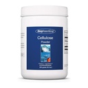 Allergie-Forschungsgruppe Zellulose-Pulver - Mikrokristallines Zellulose-Pulver, 2000mg Unlösliche Faser-Ergänzung, pulverisierte Cellulose, nicht-Fermentierbar, hypoallergen - 8.8 Oz
